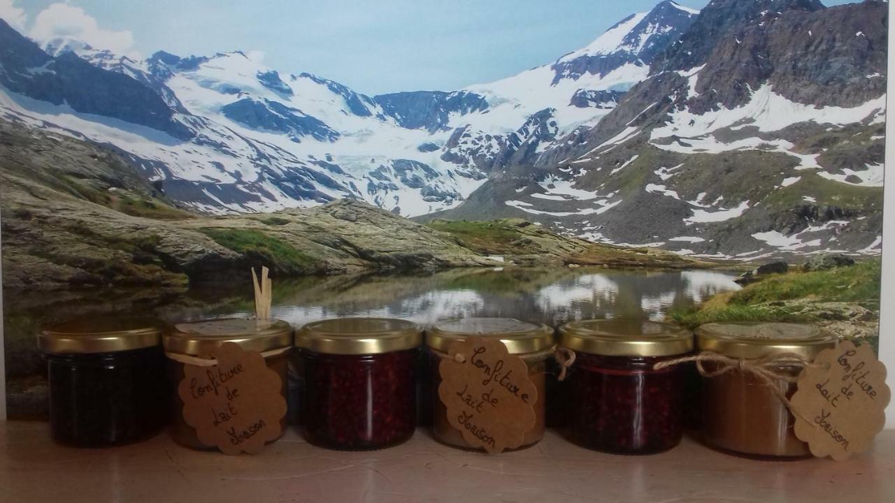 Chalet Le Bois Joli Bonneval-sur-Arc Eksteriør bilde