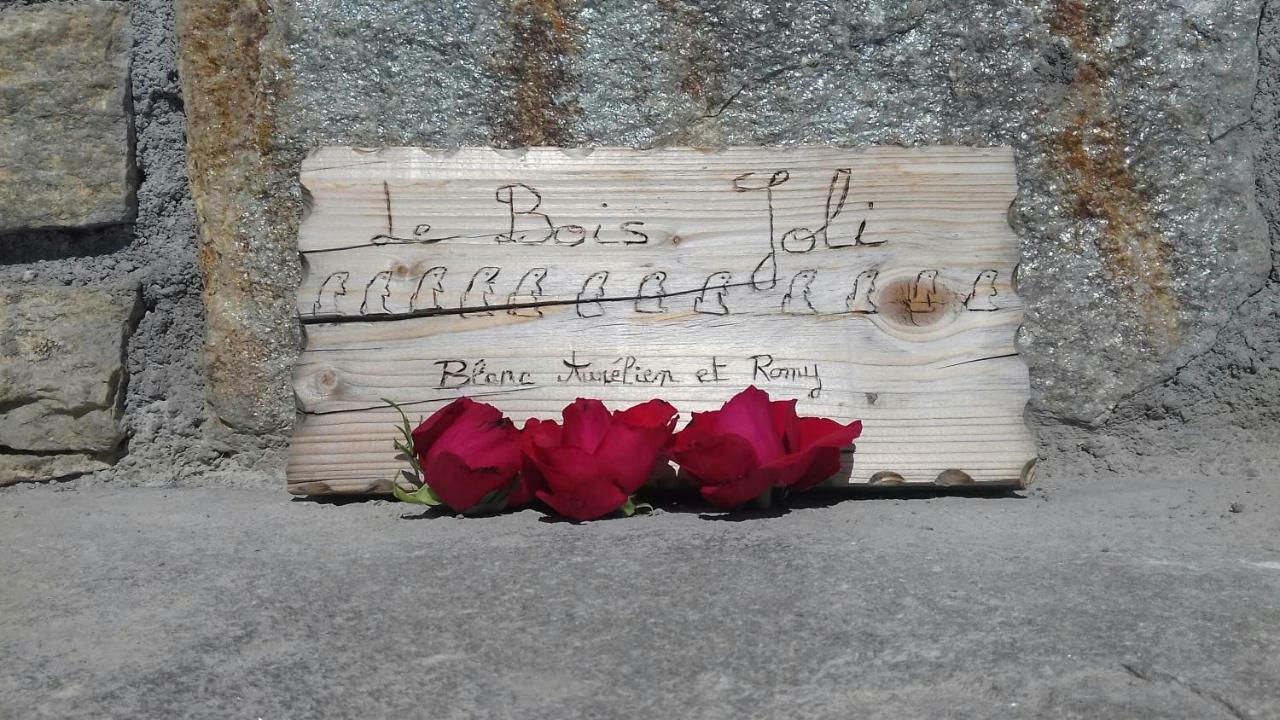 Chalet Le Bois Joli Bonneval-sur-Arc Eksteriør bilde