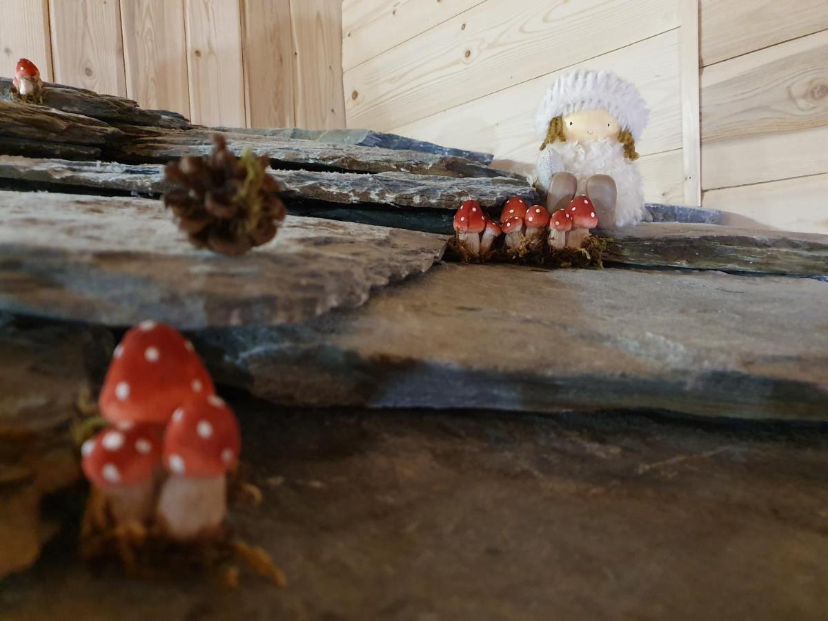 Chalet Le Bois Joli Bonneval-sur-Arc Eksteriør bilde